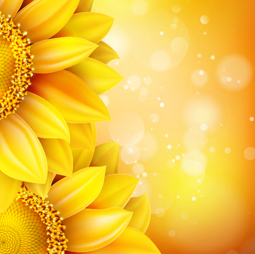 Sunflower flower with bokeh vector background 06 sunflower flower bokeh background   