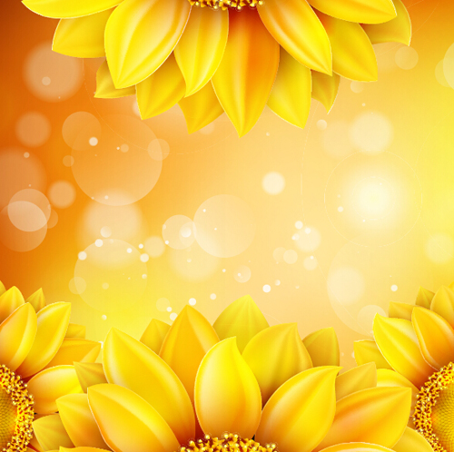 Sunflower flower with bokeh vector background 16 sunflower flower bokeh background   