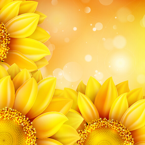 Sunflower flower with bokeh vector background 15 sunflower flower bokeh background   