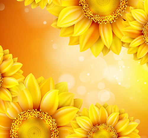 Sunflower flower with bokeh vector background 14 sunflower flower bokeh background   