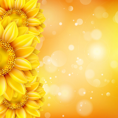 Sunflower flower with bokeh vector background 04 sunflower flower bokeh background   