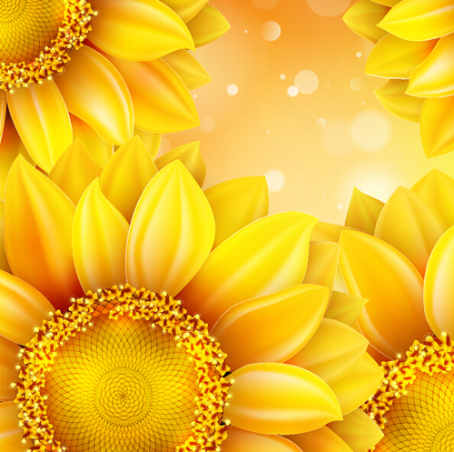 Sunflower flower with bokeh vector background 12 sunflower flower bokeh background   