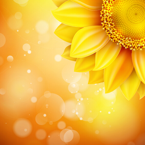 Sunflower flower with bokeh vector background 02 sunflower flower bokeh background   