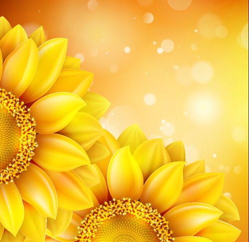 Sunflower flower with bokeh vector background 11 sunflower flower bokeh background   