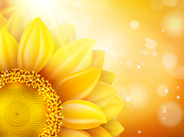 Sunflower flower with bokeh vector background 01 sunflower flower bokeh background   