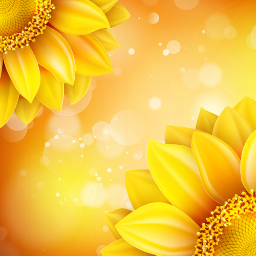 Sunflower flower with bokeh vector background 10 sunflower flower bokeh background   