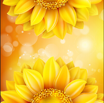 Sunflower flower with bokeh vector background 09 sunflower flower bokeh background   