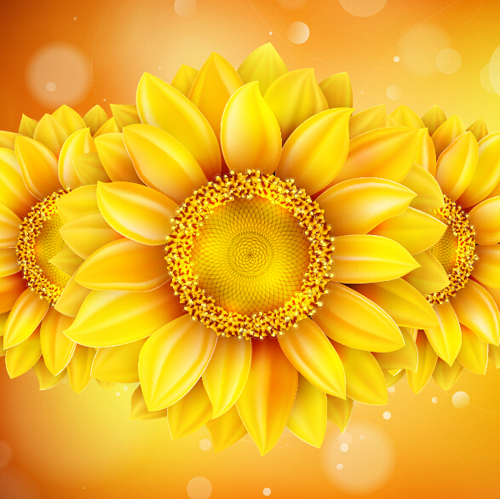 Sunflower flower with bokeh vector background 07 sunflower flower bokeh background   