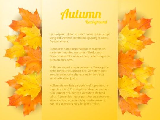 Maple leaves with autumn background vector 02 maple leaves background autumn   