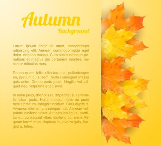 Maple leaves with autumn background vector 01 maple leaves background autumn   