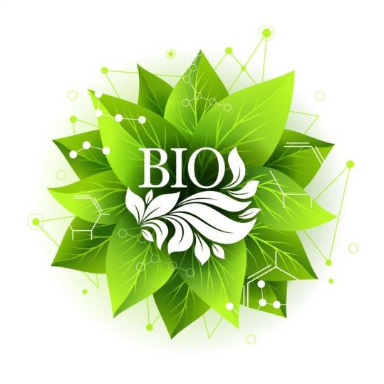 Bio label badge with green leaves vector 04 leaves label green bio badge   