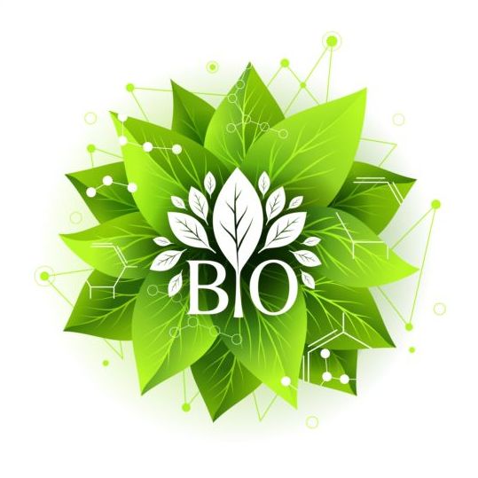 Bio label badge with green leaves vector 02 leaves label green bio badge   