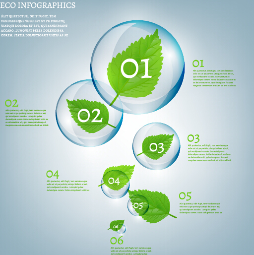 Eco Infographics and leaves bubble vector 15 leaves infographics eco bubble   