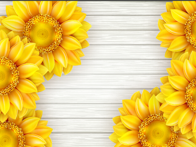 Beautiful sunflowers with wooden background vector 10 wooden sunflowers beautiful background   