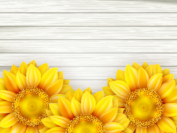 Beautiful sunflowers with wooden background vector 09 wooden sunflowers beautiful background   