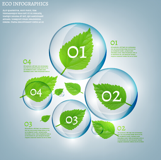 Eco Infographics and leaves bubble vector 01 leaves infographics eco bubble   