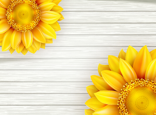 Beautiful sunflowers with wooden background vector 05 wooden sunflowers beautiful background   