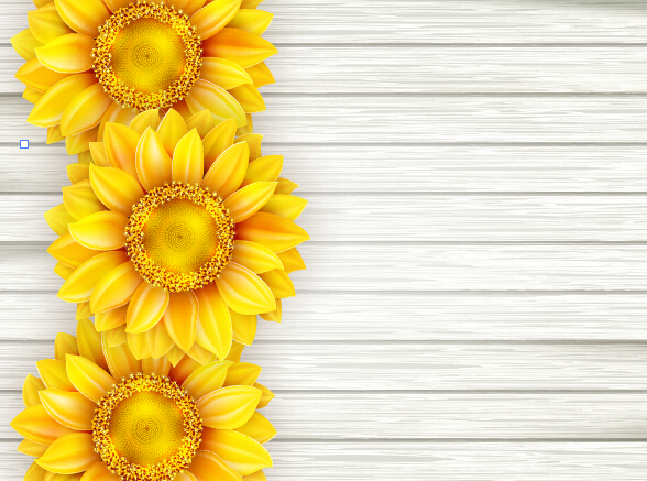 Beautiful sunflowers with wooden background vector 01 wooden sunflowers beautiful background   