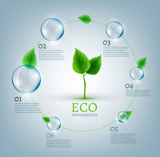 Eco Infographics and leaves bubble vector 06 leaves infographics eco bubble   