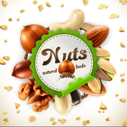 Nuts vector label 01 nuts label   