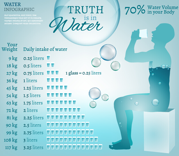 Water in human body infographic vector 07 water infographic human body   
