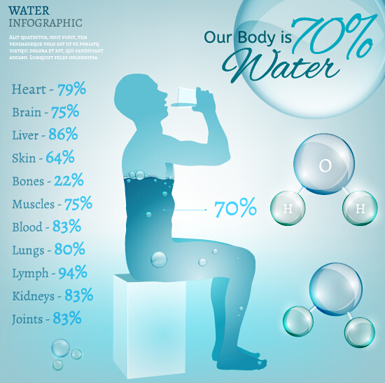 Water in human body infographic vector 06 water infographic human body   