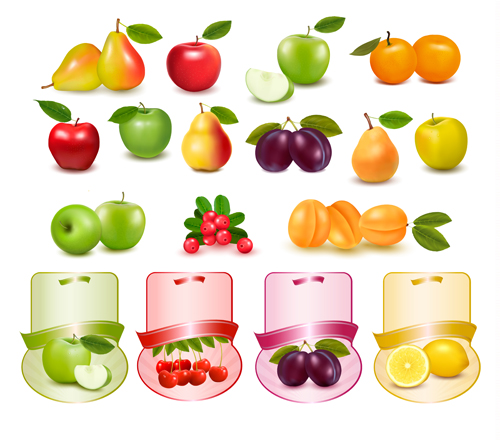 Different fruits with labels vectors labels fruits different   