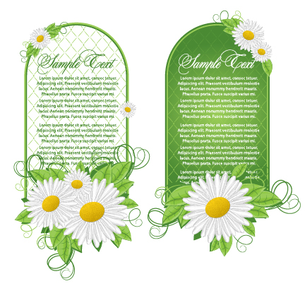 Vector card with white flower white flower card   