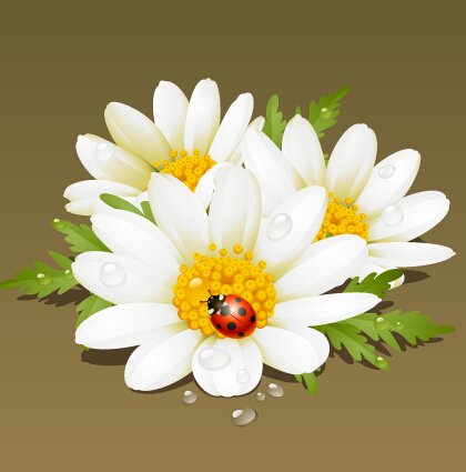 White flower and ladybug vector material white ladybug flower   
