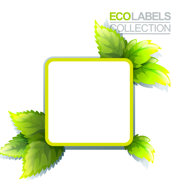 Eco labels with green leaves vector 05 leaves labels green eco   
