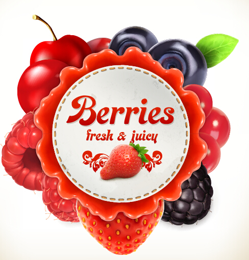 Berries label vector label berries   