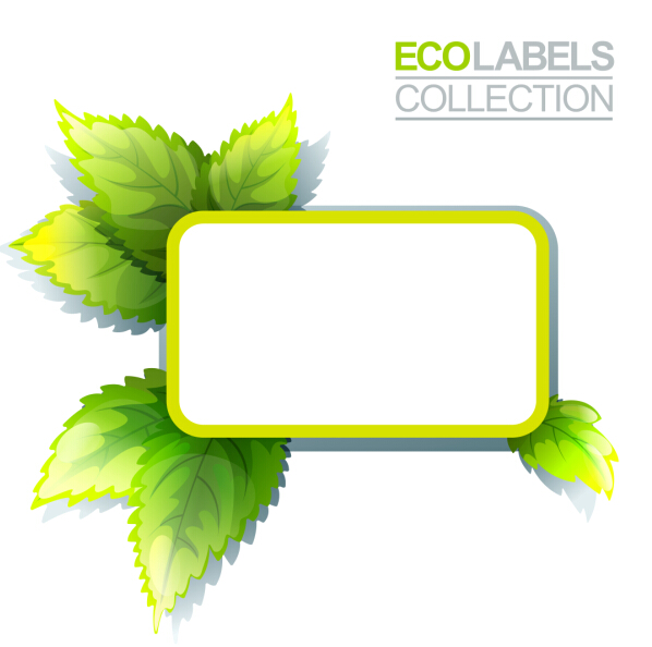 Eco labels with green leaves vector 04 leaves labels green eco   