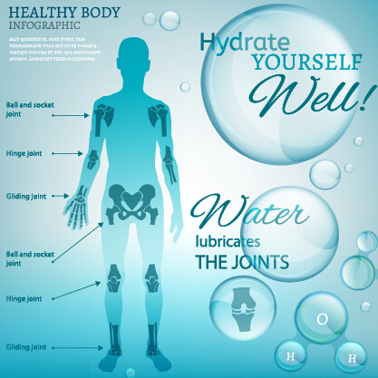 Healthy body infographics vector template 03 infographics Healthy body   