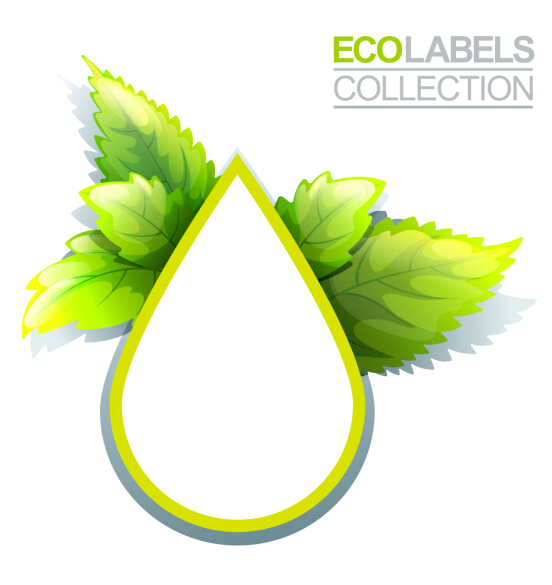 Eco labels with green leaves vector 02 leaves labels green eco   