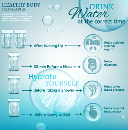 Healthy body infographics vector template 01 infographics Healthy body   