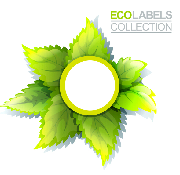Eco labels with green leaves vector 01 leaves labels green eco   