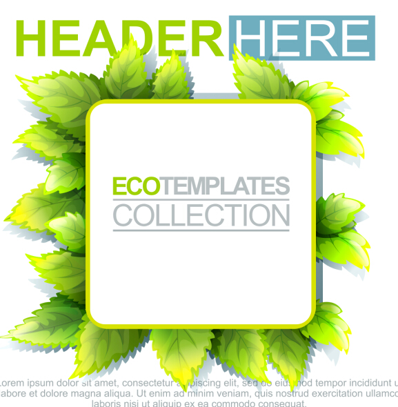 Eco labels with green leaves vector 08 leaves labels green eco   