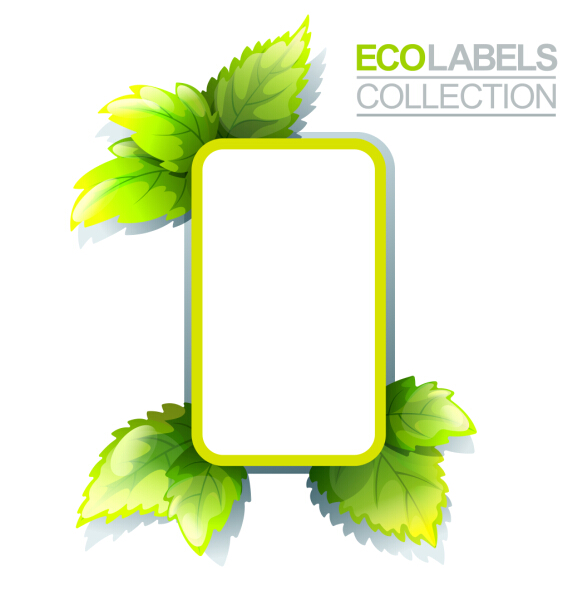 Eco labels with green leaves vector 07 leaves labels green eco   