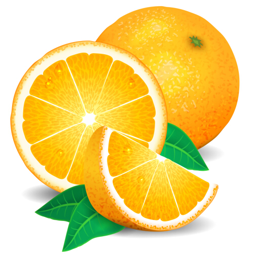 Fresh orange vector orange fresh   