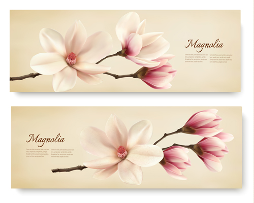 white magnolia with spring banners vector white spring magnolia banners   