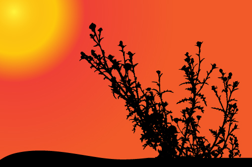 Sunset with plant silhouette vector sunset silhouette plant   