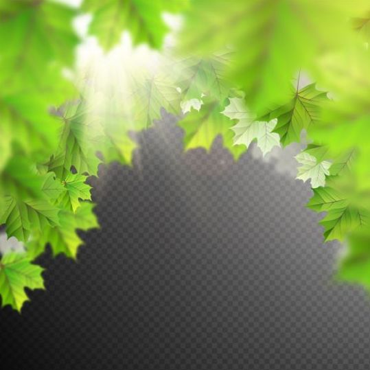 Summer leaves with sunlight background illustration 03 sunlight summer leaves illustration background   