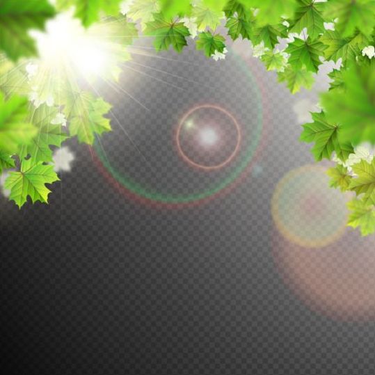 Summer leaves with sunlight background illustration 02 sunlight summer leaves illustration background   
