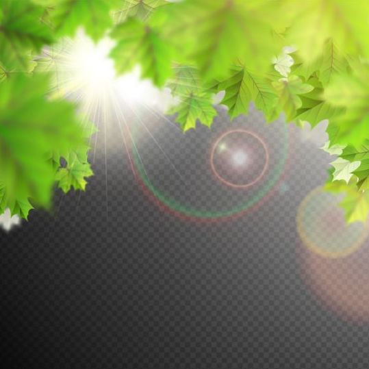 Summer leaves with sunlight background illustration 01 sunlight summer leaves illustration background   
