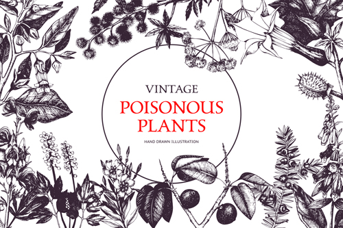 Poisonous plants warning poster vintage vector 03 warning vintage poster Poisonous plants   