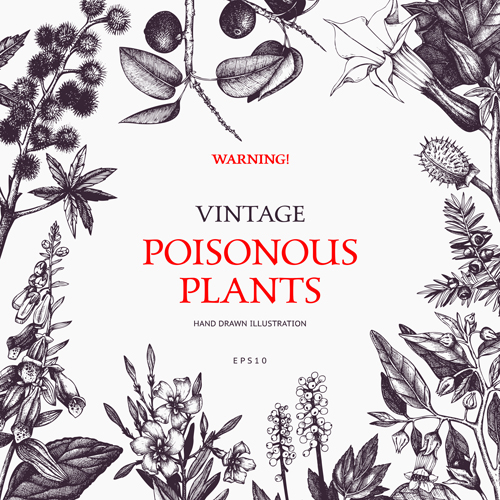 Poisonous plants warning poster vintage vector 02 warning vintage poster Poisonous plants   