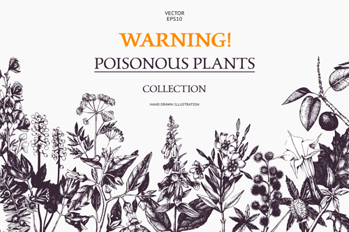 Poisonous plants warning poster vintage vector 01 warning vintage poster Poisonous plants   