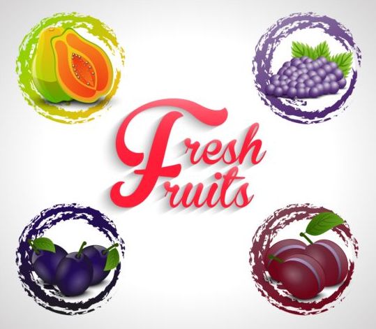 Watercolor fruits labels vector 02 watercolor labels fruits   