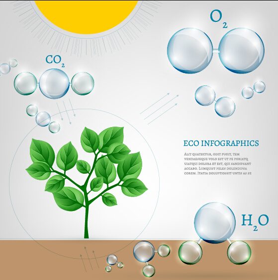 Eco Infographics with bubble vectors 17 infographics eco bubble   