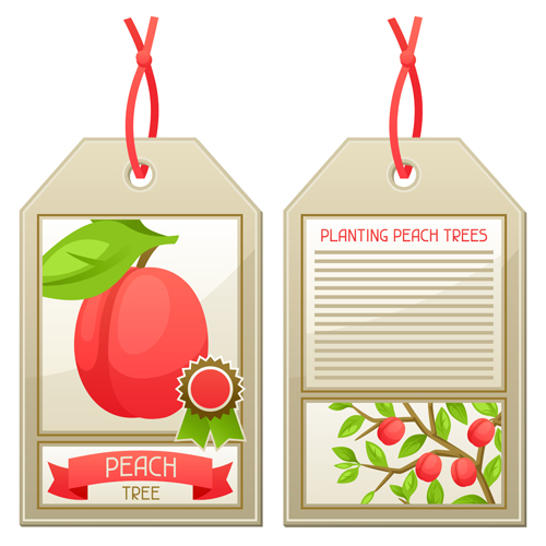 Creative fruit tags vector design 02 tags fruit creative   